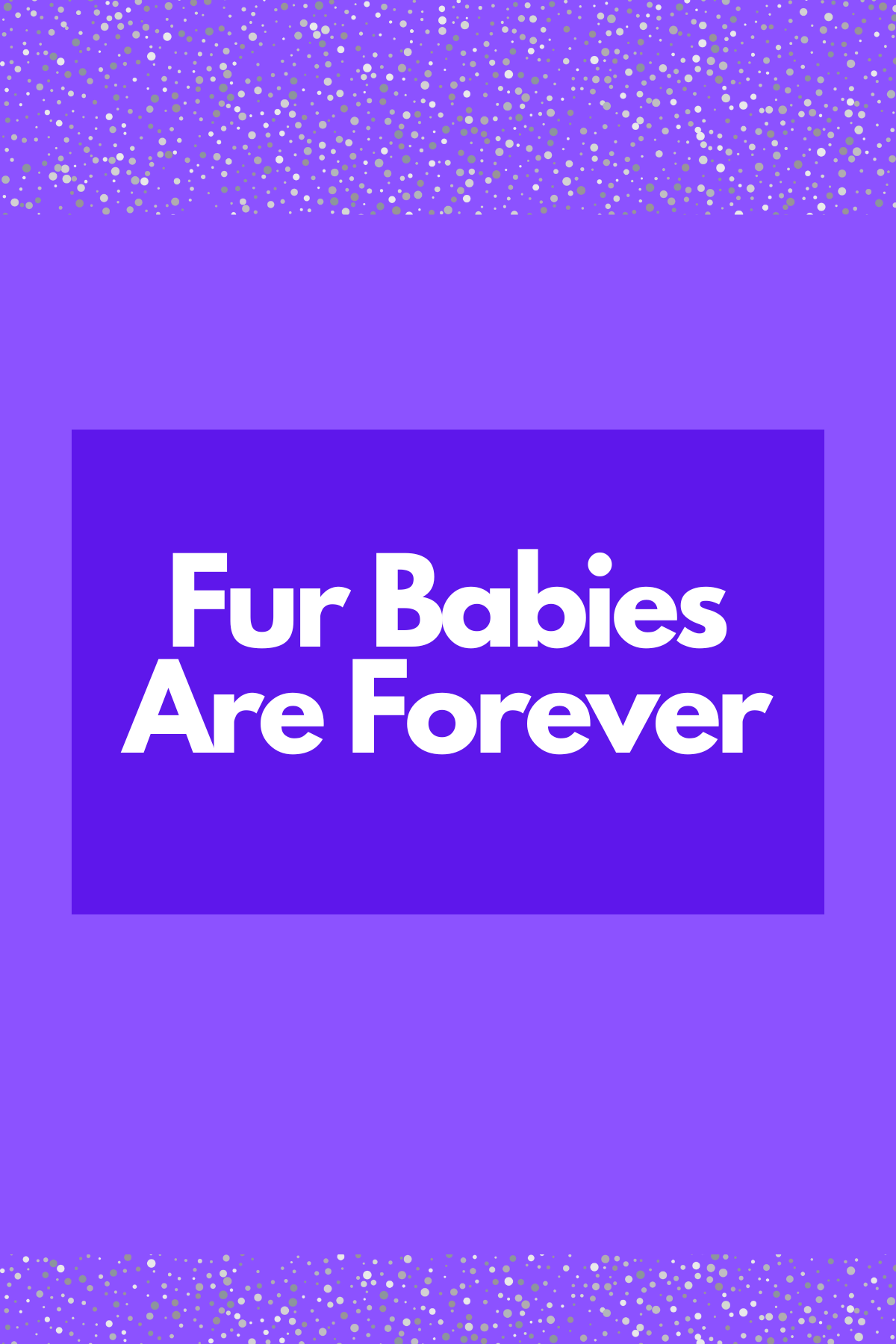 Pets Rule Card