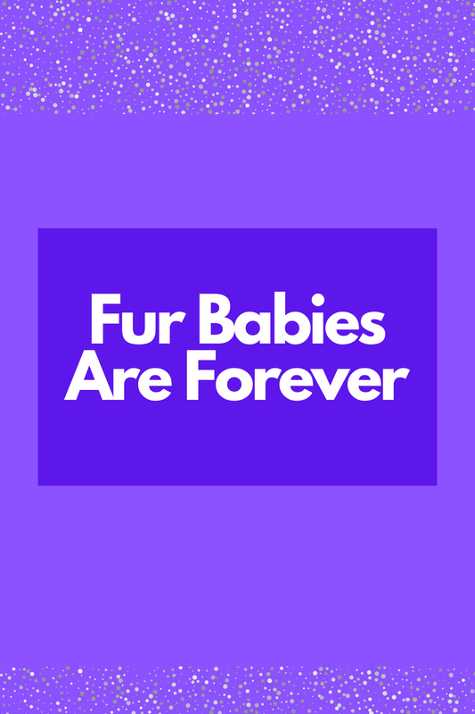 Pets Rule Card
