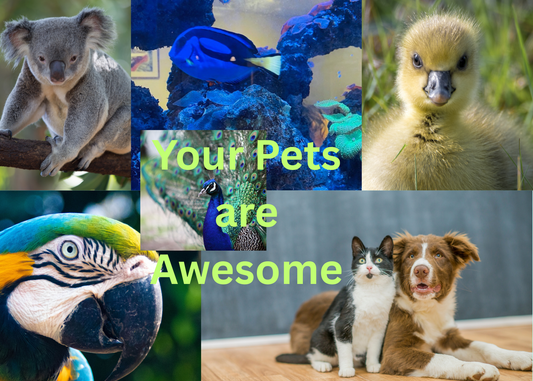 Pet Life Card