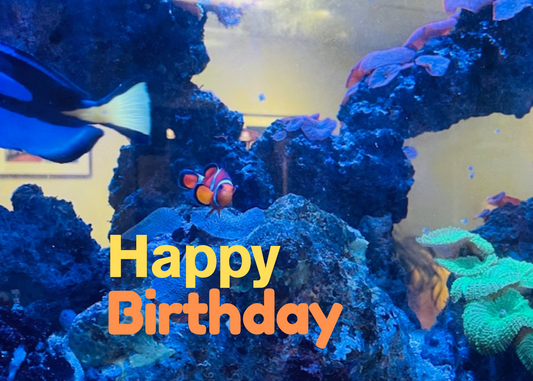 Ocean Birthday Greeting Card