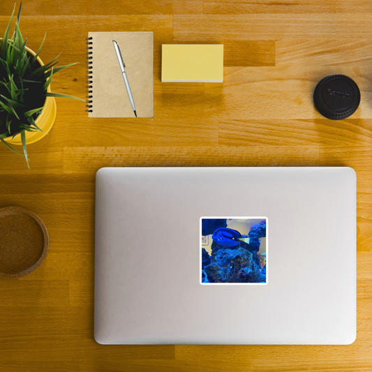 Aqua Stickers 3x3